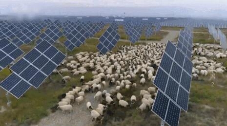 【電廠】2018年水電再次霸屏央視 水光互補項目閃亮登場！【電廠】2018年水電再次霸屏央視 水光互補項目閃亮登場！ 行業(yè)資訊 第6張