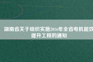 湖南省關(guān)于組織實施2016年全省電機(jī)能效提升工程的通知