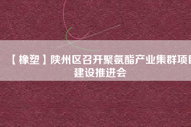 【橡塑】陜州區(qū)召開聚氨酯產(chǎn)業(yè)集群項(xiàng)目建設(shè)推進(jìn)會